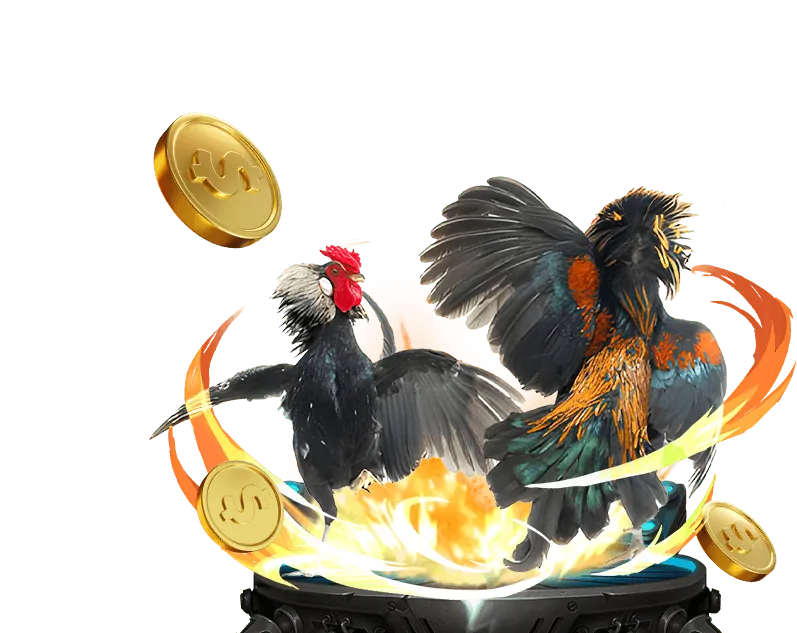 Đá Gà Trực Tiếp C2 - Công nghệ vượt trội